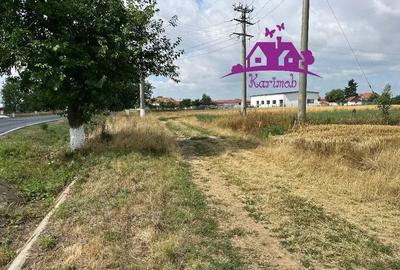 Teren de 28100 mp, în Gepiu - 1