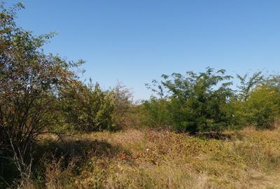 Teren 15000 mp Vernesti, Buzau cu PUZ - 7