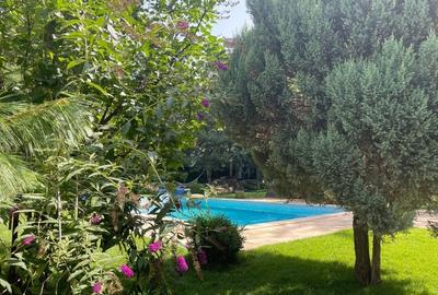 Resedinta deosebita,renovata 2023,P+2,garaj 2 loc, sauna, piscina, teren 1130 mp - 18