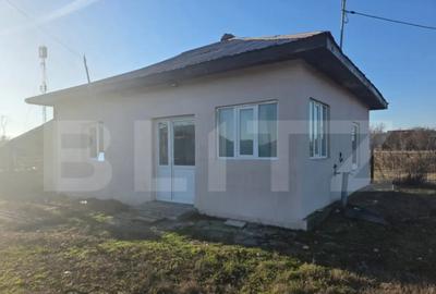 Casă cu 2 camere cu Teren 2500 Mp în Central - 3