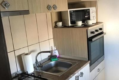 Apartament cu 2 camere semidecomandat în Valea Rosie - 10