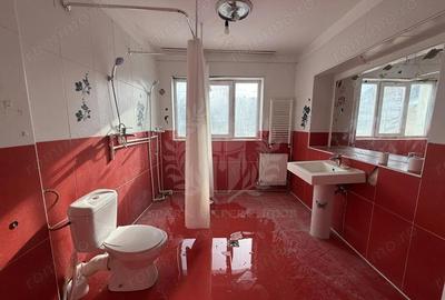 Spațiu comercial, de 240 mp, în Central - 7