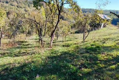 Teren de 2406 mp, în Central - 5