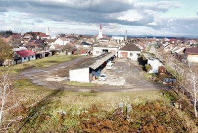 Teren in suprafata de 7774 intravilan | Constructi in suprafata de 1029 mp - 5