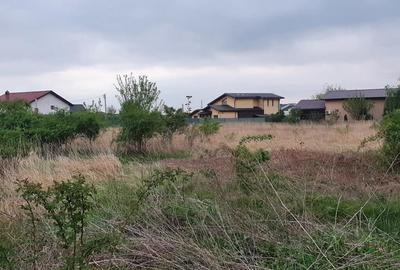 Lot teren Balotesti,langa case noi-50 m de asfalt 600mp - 11