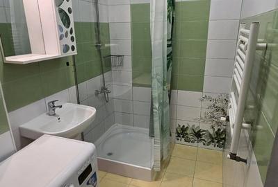 Garsonieră semidecomandată, mobilată în Valea Oltului - 3