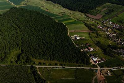 Teren de 6202 mp, în Palilula - 1