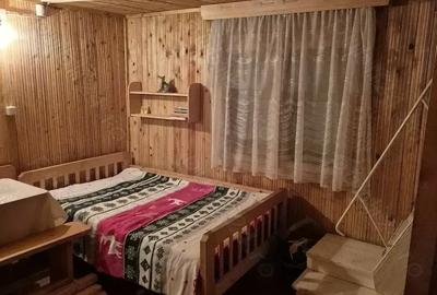 Cabana - Locuinta de vacanta langa Piatra Neamt - 2