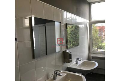 Birouri Basarabia - FAUR, Bucuresti - 14