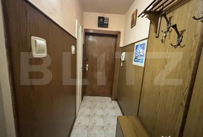Apartament cu 2 camere semidecomandat în Botizului - 8
