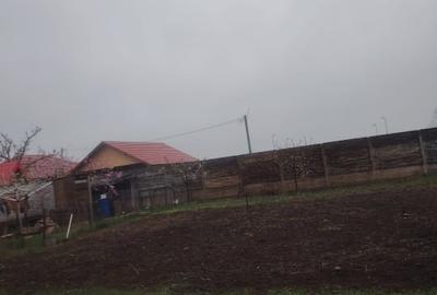 Casă individuală cu 5 camere cu Teren 620 Mp în Macea - 7