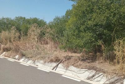 Casă cu 2 camere în Răsmirești - 7