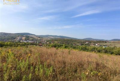 Teren extravilan zona - 4