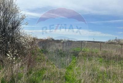 De vanzare Teren intravilan 1000 mp Balotesti / Strada Ion lahovari - 10