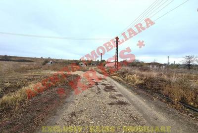 TEREN 21579 Mp. Curs Construc?ii + 4 Anexe La 35 Km Pite?ti - Buzoe?ti Stradal Ferma - 1