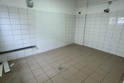 Spațiu comercial, de 70 mp, în Giurgiului - 11