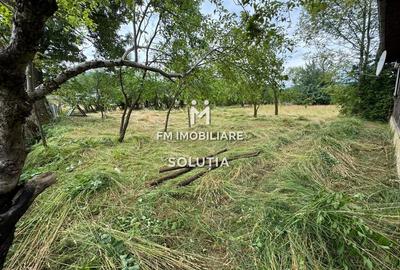 Casă de vânzare în Moisei, zonă turistică- 23 ari teren! - 6