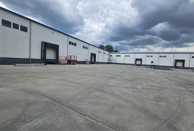Spațiu industrial, de 1,000 mp, în 23 August (Cațelul)
