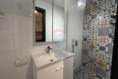 Studio cochet de inchiriat - Baba Novac - 15