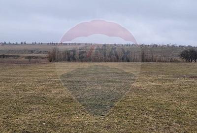 Teren de 2592 mp, în Lipoveni - 1