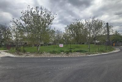 Teren de 1457 mp, în Dărmănești