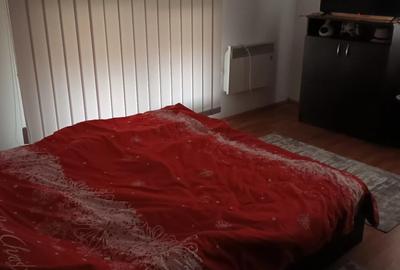 Vand casa individuala cu 4 camere, in Valea Chintaului, teren 200mp - 3