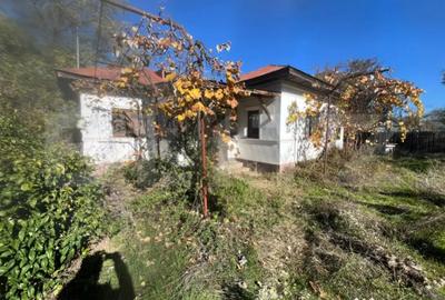 Casă cu 3 camere cu Teren 4500 Mp în Răcari - 3