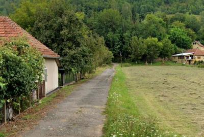 Spațiu comercial, în Negreni - 3