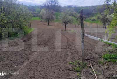 Casă cu 3 camere în Unguraș - 2