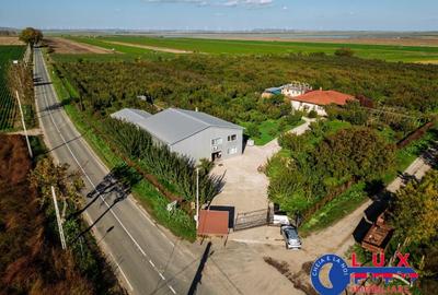 ID 7785 LIVADA SABANGIA DE VANZARE - 29