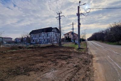 TEREN DEOSEBIT BALOTESTI-SAFTICA | DESCHIDERE LA 2 DRUMURI - 5