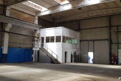 Spațiu comercial, de 700 mp, în Aviației - 11