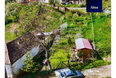 Spațiu comercial, în Alma - 9