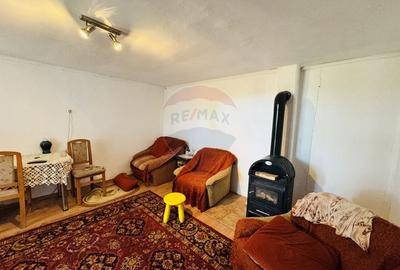 Teren Construcții intravilan de 6210 mp, în Apateu - 12