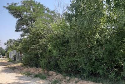 Teren intravilan de vanzare - Bran, sat Sohodol - 6