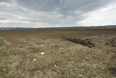 Teren de 24100 mp, în Gura Ocniței - 2