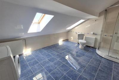 Apartament cu 3 camere semidecomandat în Tilișca - 13