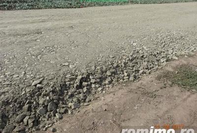 Vindem locuri de casa 540 sau 640mp in Zimand Cuz 7 km de Arad - 5