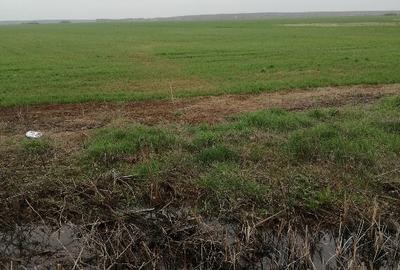 Teren agricol, extravilan com Mârșa jud Giurgiu. - 1