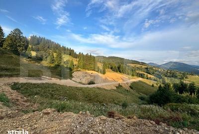 Teren de 5000 mp, în Tiha Bârgăului - 1