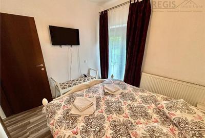 Studio Cochet PetFriendly Predeal - 10