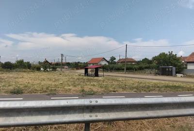 Casă cu 3 camere în Domănești - 9