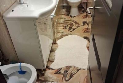 Apartament cu 3 camere decomandat, mobilat în Calea Caransebeșului - 3