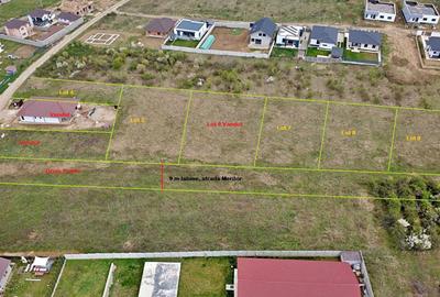 Spațiu comercial, în Paleu - 2