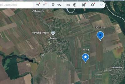 Teren de 1061600 mp, în Trifești - 1
