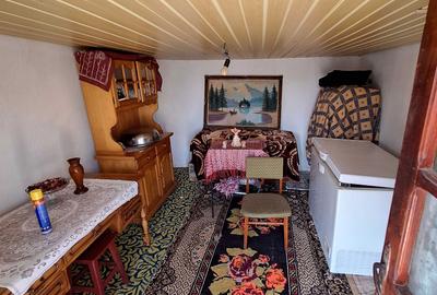 Casă cu 3 camere în Movila Miresii - 2