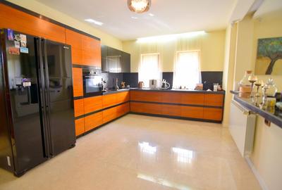 Vila cu piscina si teren generos-Braytim Timisoara - 22