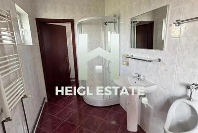 Proprietate ideala pentru echipe de muncitori - 11