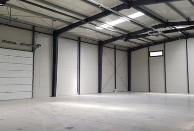 Spatiu depozitare si productie soseaua de centura Chitila - 2