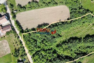 Teren intravilan 4600mp in Oarda de Sus - 1